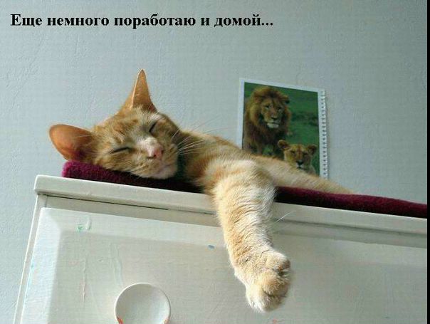 Приветы и поздравления прямо сюда пишем!)