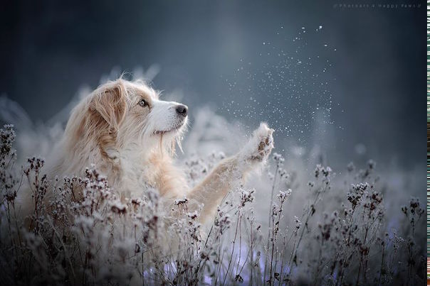 Austrian photographer Anne Geier