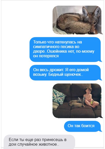 Повесть о сострадании и героизме или как жена 