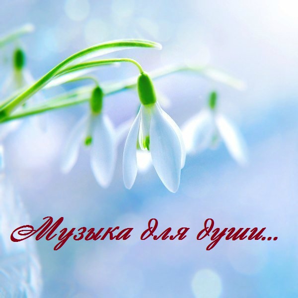 Вашему вниманию наша традиционная рубрика